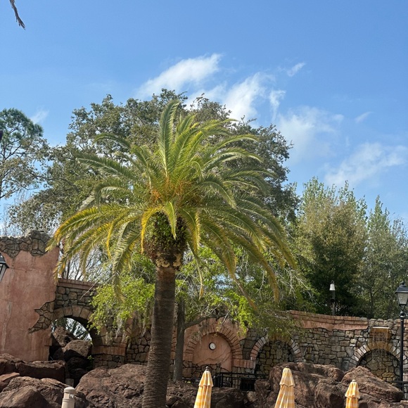 Meet your Posher, Jo - Picture 1 of 1